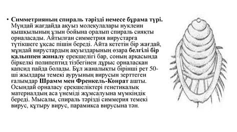 Вирустар генетикасы. Вирустық геномның ұйымдасуы. Вирустық геномдардың ...