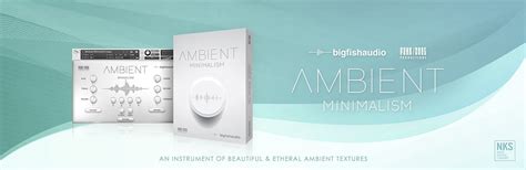 Ambient Minimalism Big Fish Audio Bestservice EN