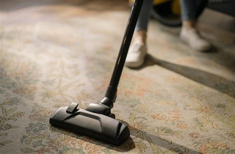 Diy Carpet Cleaning Ultimate Guide Veteran Carpet And Tile Cleaning