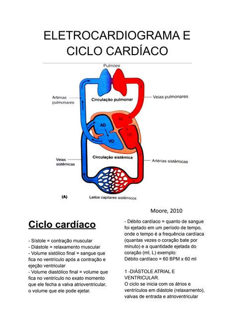 Solution Resumo Ciclo Card Aco E Eletrocardiograma Ecg Studypool