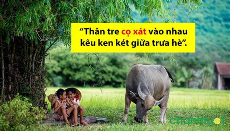 Giải nghĩa Cọ xát hay Cọ sát Từ nào đúng chính tả