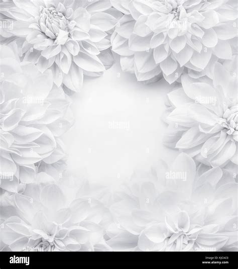 Details 300 white floral background hd - Abzlocal.mx