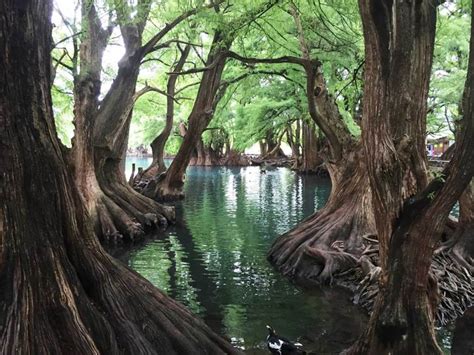 Paisajes En Mexico