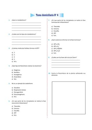 Metabolismo Celular Para Cuarto Grado De Secundaria Pdf