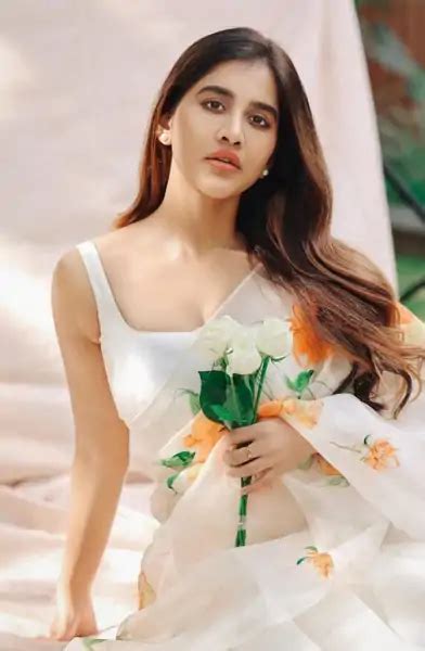 Nabha Natesh Latest Hot Pics And Photo In Saree