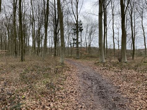 Path On The Edge Of Blackwood Forest Mr Ignavy Geograph Britain