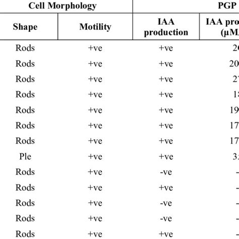 Cell Morphological Characteristics And Pgp Traits Of Bacterial Strains