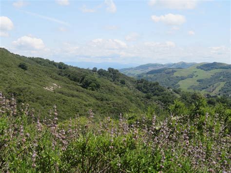 Even More of San Ramon Valley Regional Park by SAMGUTHRIEWRITER on ...