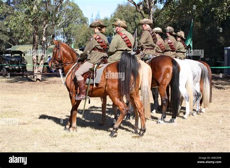 Australian Light Horse Hi Res Stock Photography And Images Alamy