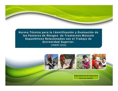 Pdf Norma T Cnica Para La Identificaci N Y Evaluaci N De Los