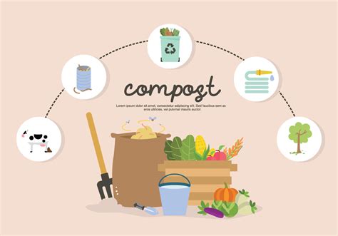 Infographic Fertilization Garbage And Soil To Compost Vector