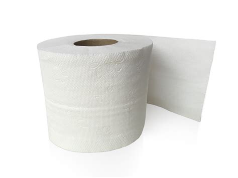 Toilet Paper Png