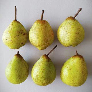 Apple vs Pear: What is the difference?