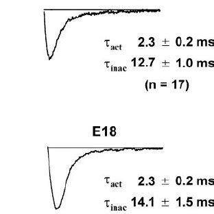 A Voltage Dependence Of Activation And Steady State Inactivation Of I