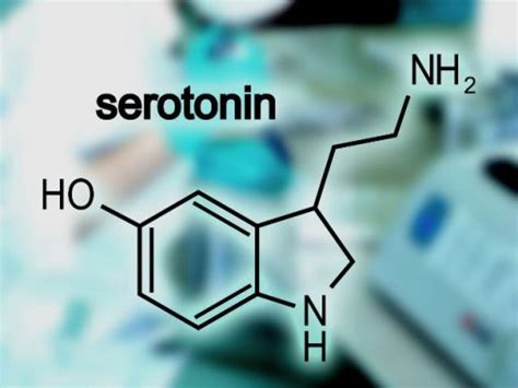 Serotonin Syndrome How Much Is Too Much