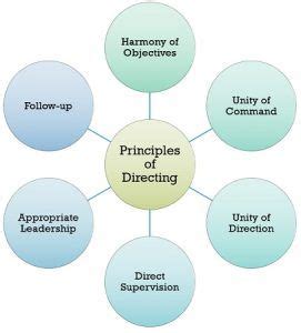 What Is Directing Definition Characteristics And Principles