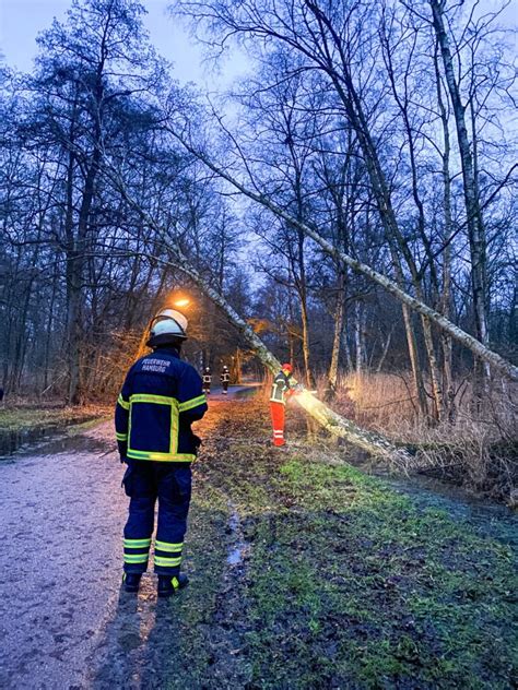 Einsatz Baum Droht Zu Fallen Freiwillige Feuerwehr Hamburg Langenhorn