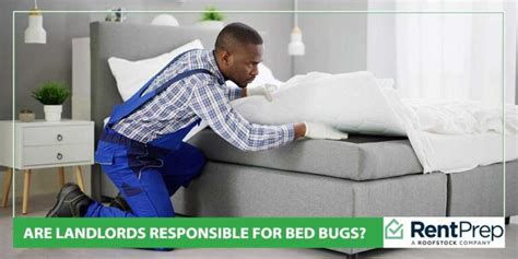 Are Landlords Responsible For Bed Bugs Rentprep