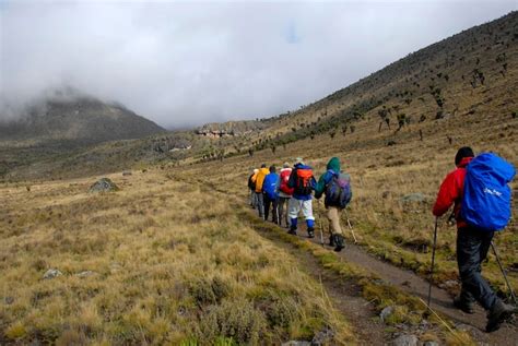 Premium Photo | Mount Kilimanjaro