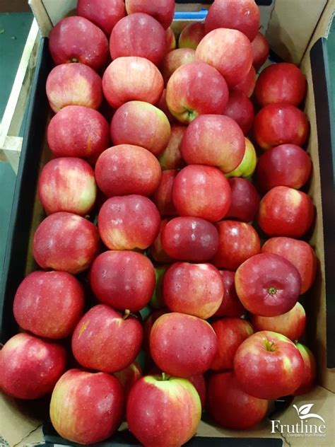 Wholesale Idared Apples From Frutline