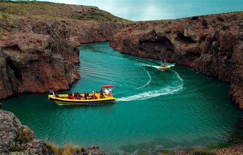 Expeditions Puerto Deseado Discover The Amazing Wildlife Oyikil Travel