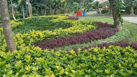 Nikmati Keindahan Berbagai Jenis Tanaman Di Taman Harmoni Super