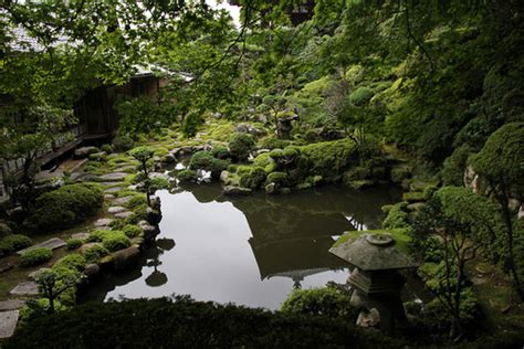 Japanese Garden Pond Pictures, Photos, and Images for Facebook, Tumblr ...