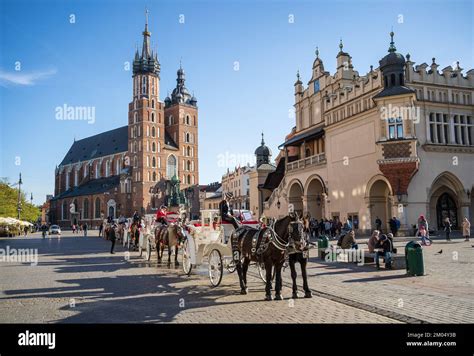 Horses And Carriages Waiting In Front Of St Marys Church At Market