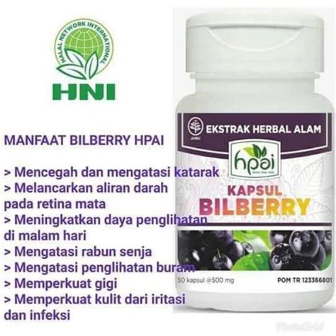 Bilberry Hni Ori Mengatasi Mata Katarak Bpom Lazada Indonesia