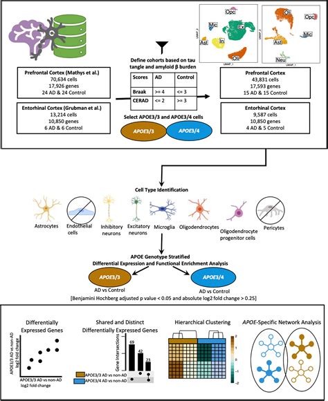 Frontiers Bioinformatics Analysis Of Publicly Available Single Nuclei