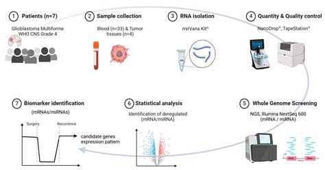 Cancers Free Full Text Liquid Biopsy In Whole Blood For