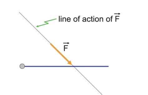 Biomechanics Torque Flashcards Quizlet