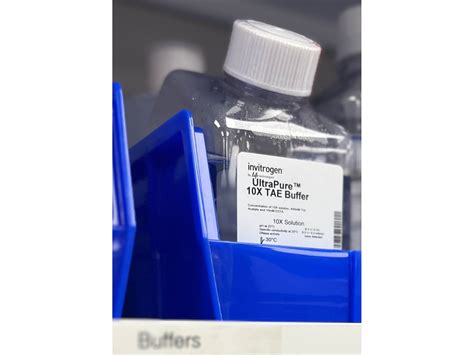 Labcompare Product Review Ready To Use Buffer For Electrophoresis