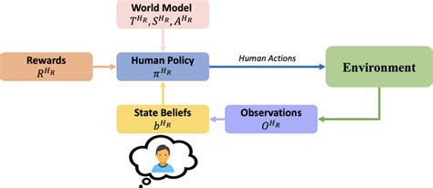 The Robot Estimates The Human S POMDP Model As A Single Player POMDP M