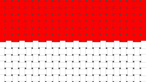 indonesia flag  pattern sytle  vector art  vecteezy