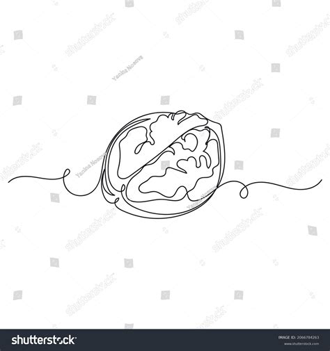 Vector Continuous One Single Line Drawing Stock Vector Royalty Free