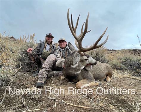 Nevada Mule Deer Hunting - Nevada High Ridge Outfitters