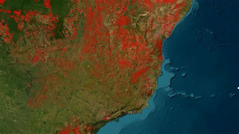 Mapbiomas Sistema Monitora O Territ Rio Brasileiro E Identifica Focos