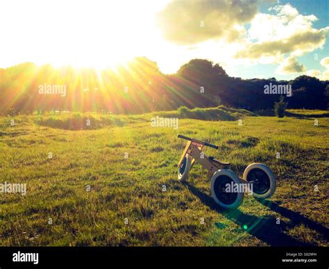 Dreirad Auf Dem Rasen Stockfotografie Alamy