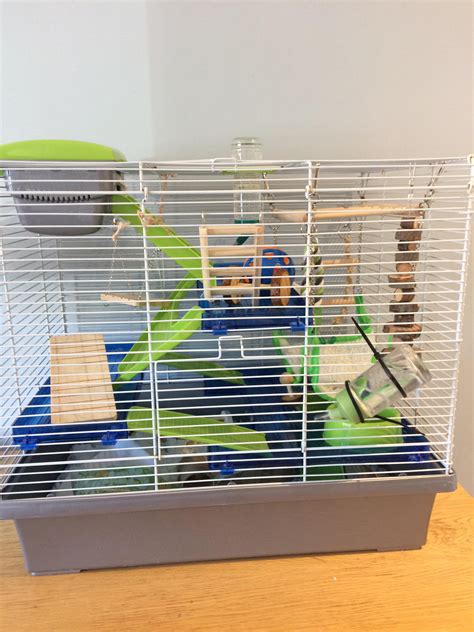 New mice cage setup, tips/ suggestions appreciated! : r/PetMice