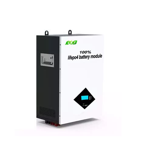 Esg Deep Cycle Lithium Battery Inverter 48V 200ah Smart BMS LiFePO4