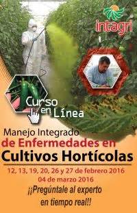 Curso virtual Manejo Integrado de Enfermedades en Cultivos Hortícolas