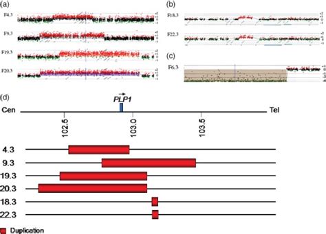 Results Of Array Comparative Genomic Hybridization Analysis Of The