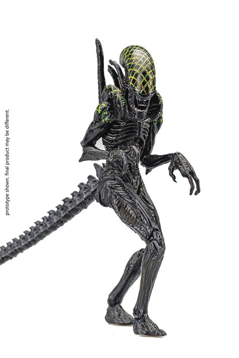 AVP GRID ALIEN PX 1/18 SCALE FIGURE – Smallville Comics