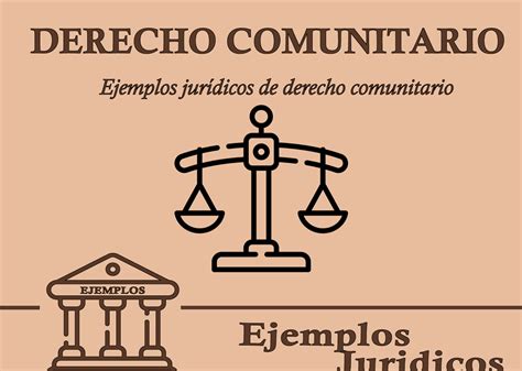 Ejemplos De Derechos Políticos Que Debes Conocer