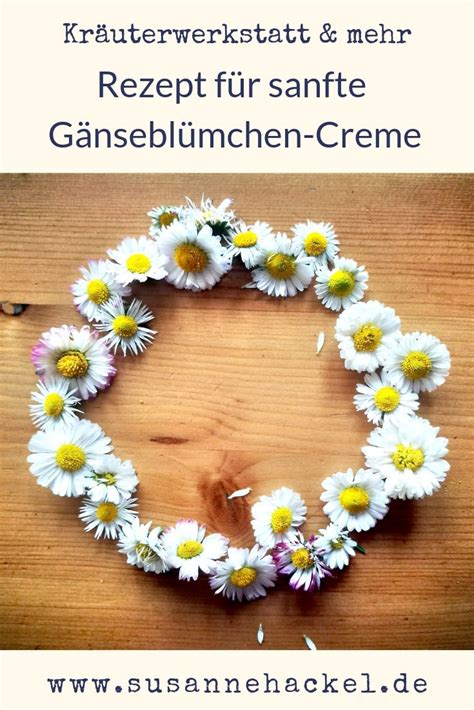 Sanfte Gänseblümchen Milch Creme Kräuterwerkstatt mehr in 2024