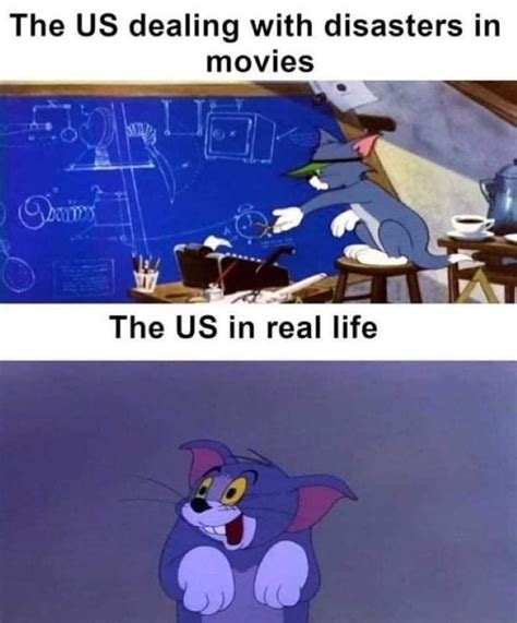 160+ Funny Tom And Jerry Memes To Keep You Laughing – FandomSpot