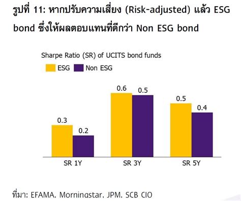 Scb Cio มอง Greenwashing ความท้าทายสำคัญของการลงทุนในธีม Esg