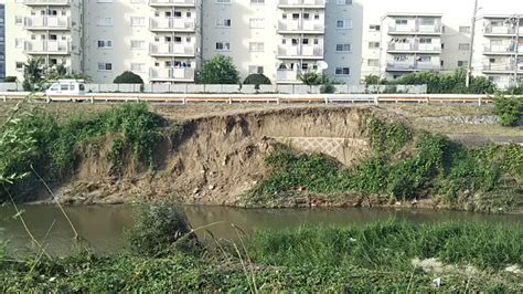 7月9日のゲリラ豪雨の境目の動画や雨関連の写真【枚方フォト】 枚方つーしん