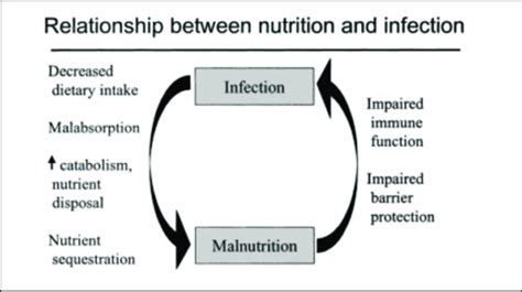 Relationship Between Nutrition And Infection Source K Brown 2003